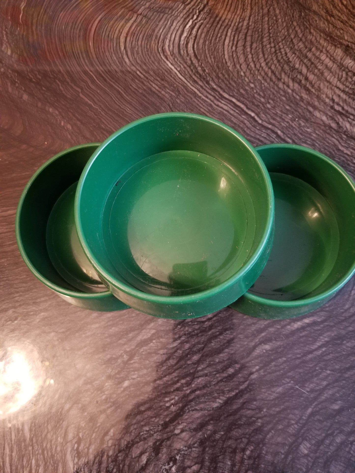 Plastic Feeding Pot