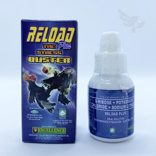 Reload Plus