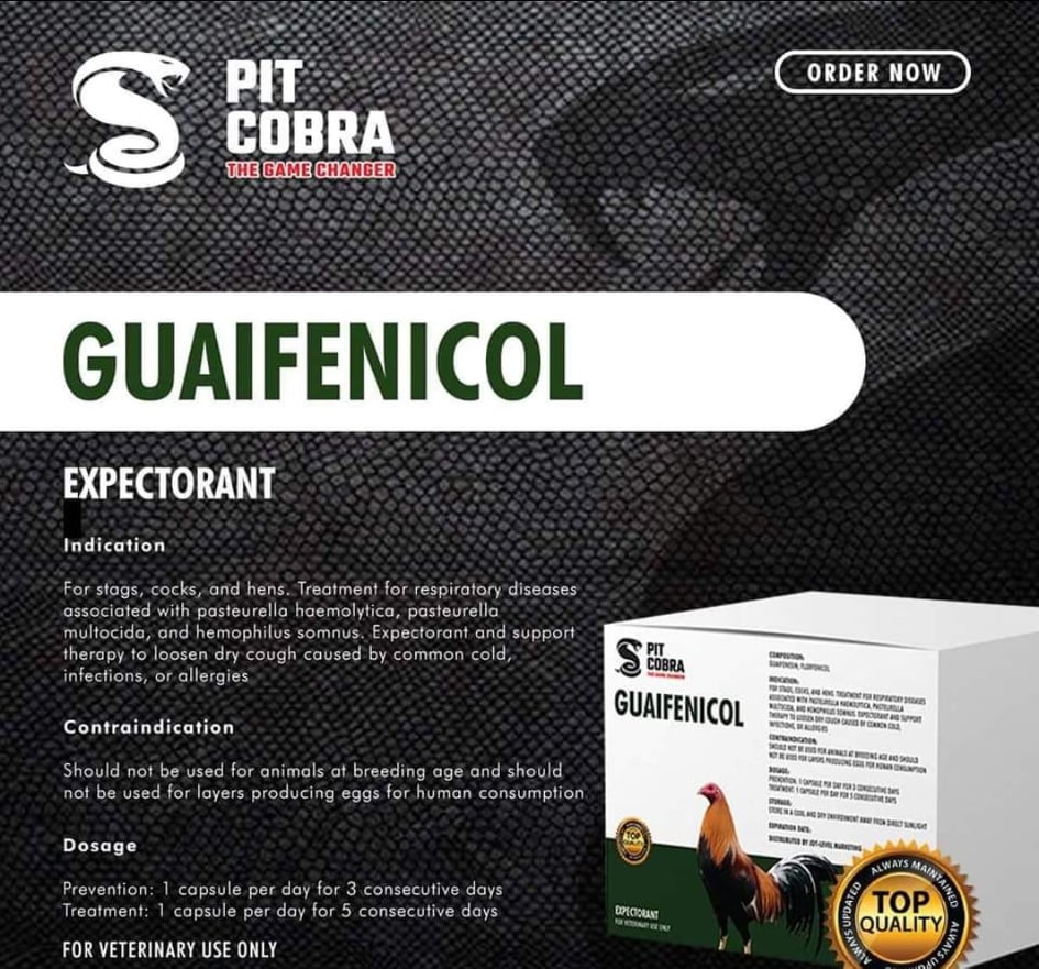 Guiafenicol Capsules