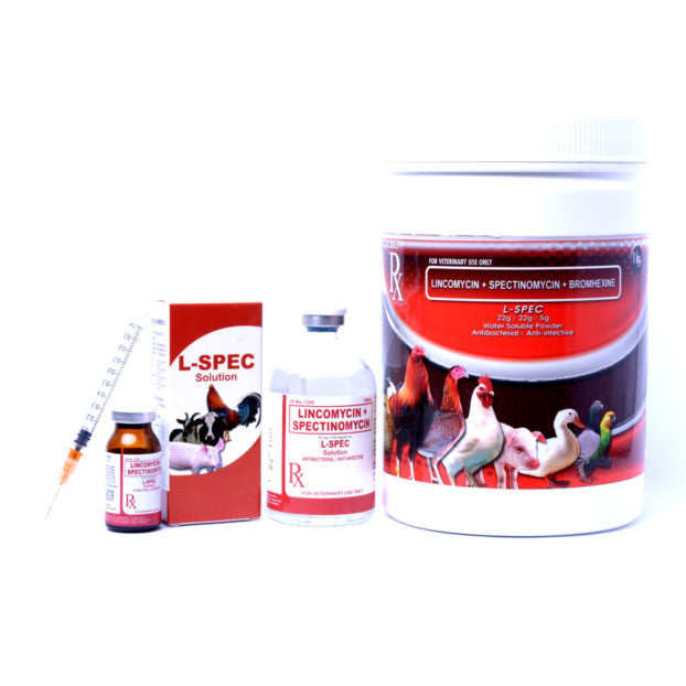 Lspec  Powder