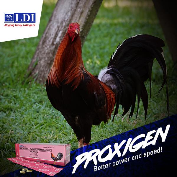 PROXIGEN – Atlantic Coast Merchandising and Printing, LLC