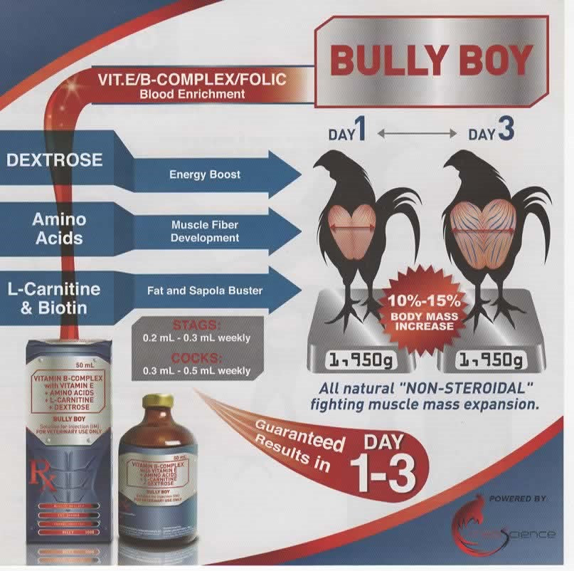 Bully Boy