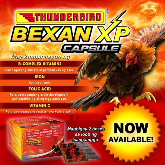 BEXAN XP CAPSULE