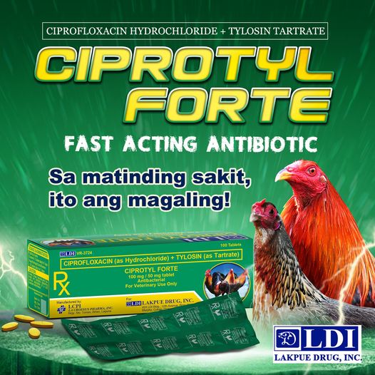 CIPROTYL FORTE