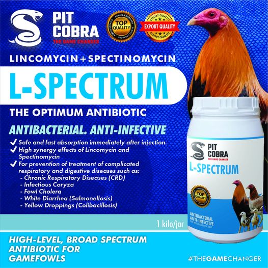 L-SPECTRUM