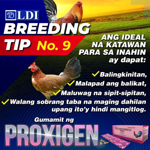 PROXIGEN – Atlantic Coast Merchandising and Printing, LLC